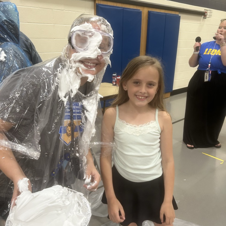 pie in the face 