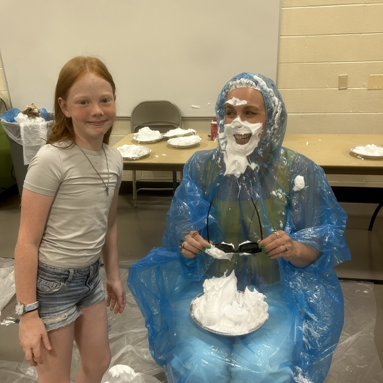 pie in the face 
