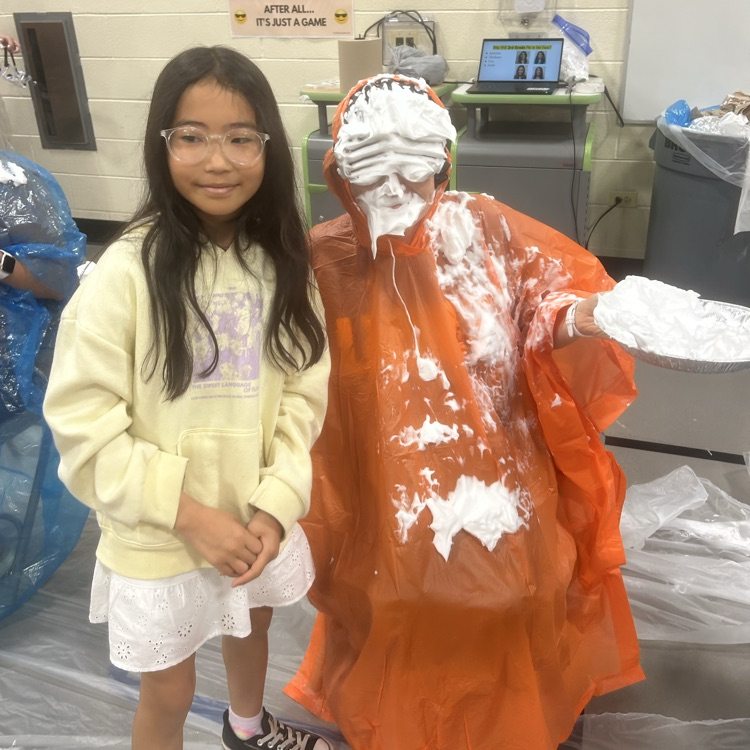 pie in the face 