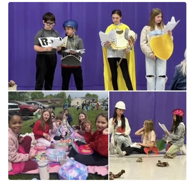 Picnic lunch and Variety show