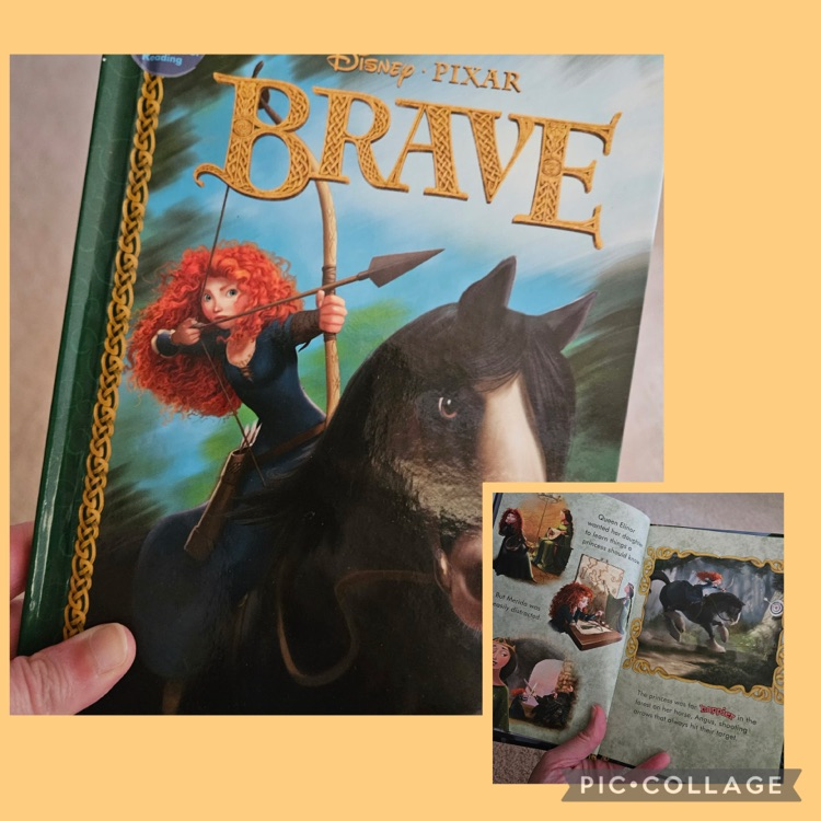 Brave book