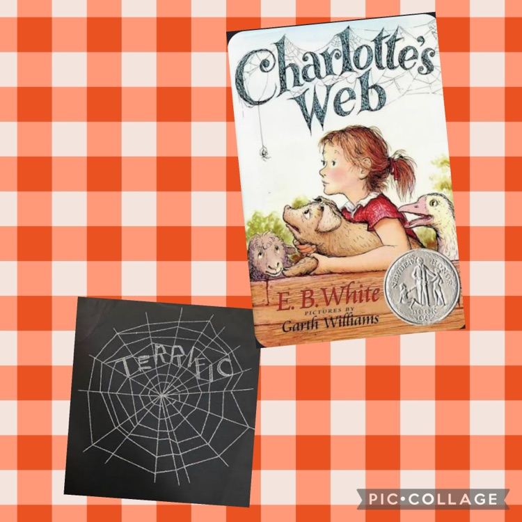Charlotte’s Web