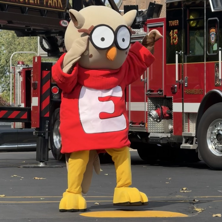 Owlbert on the blacktop
