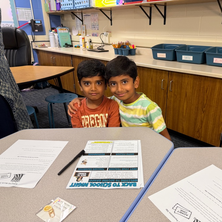 Brothers at their new desk.