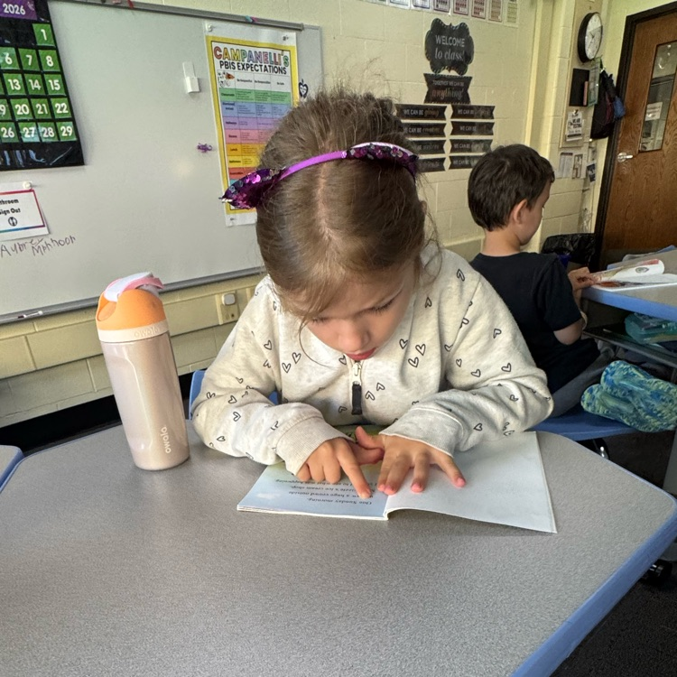 a girl reading a book