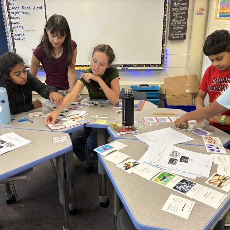 students working together to sort cards by size