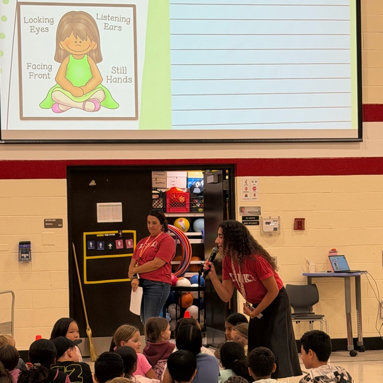 reviewing assembly behavior