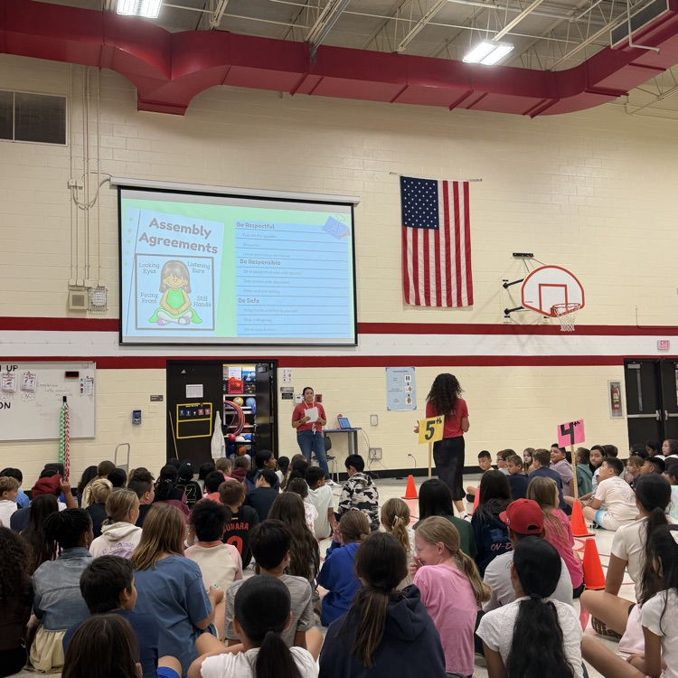 reviewing assembly behavior