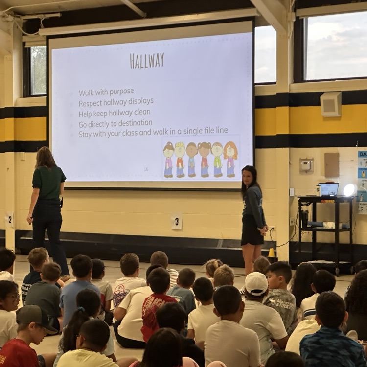 First Falcon Forum