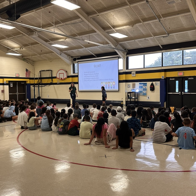 First Falcon Forum