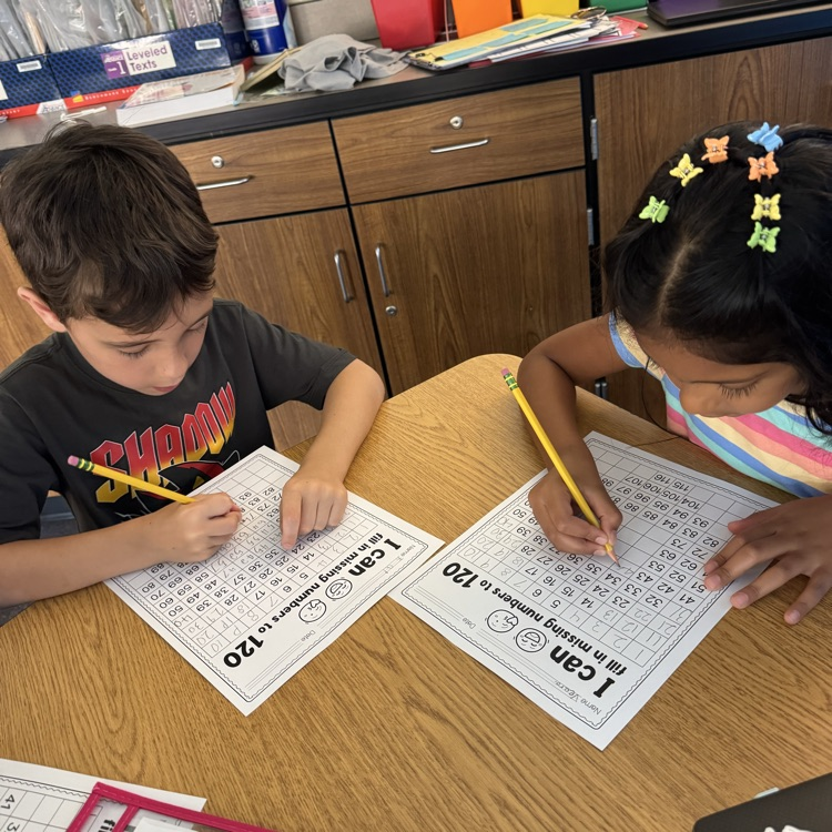 two students working on a math activity