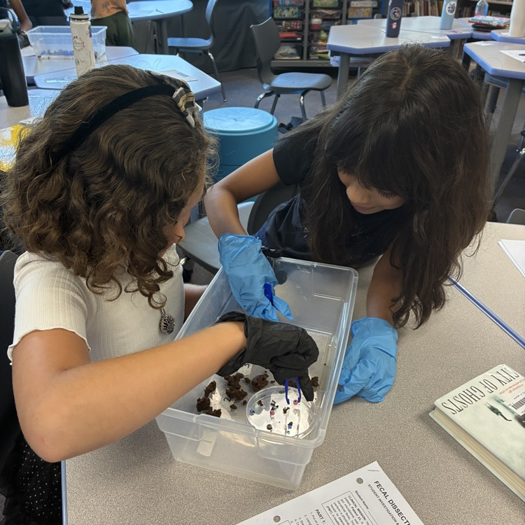 two girls using forceps to dissect play dough fecal sample 
