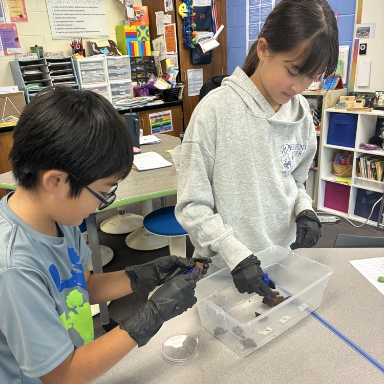 two students using forceps to dissect  play dough fecal sample 