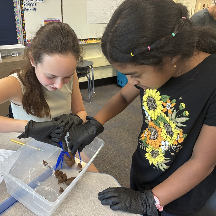 two girls using forceps to dissect play dough fecal sample 