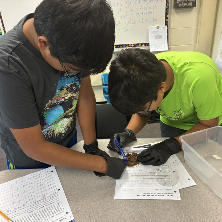 two boys using  forceps to dissect play dough fecal sample 