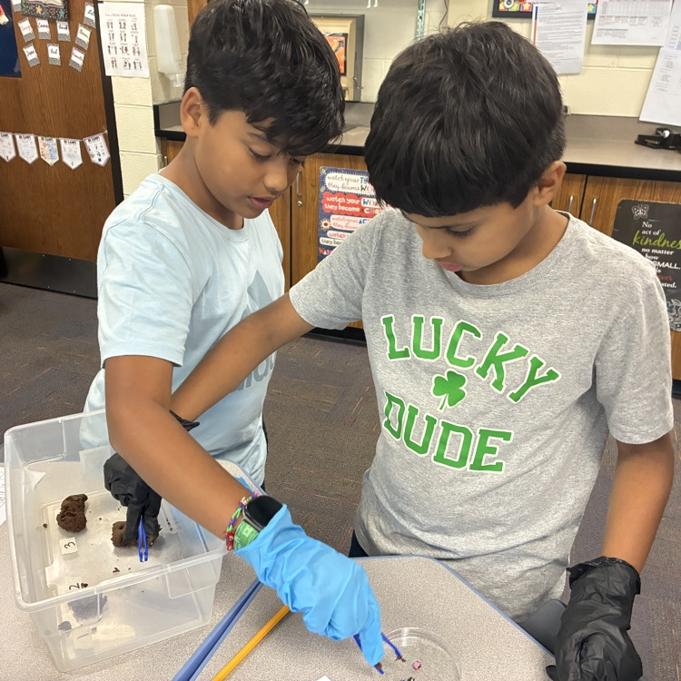 two students using forceps to dissect  play dough fecal sample 