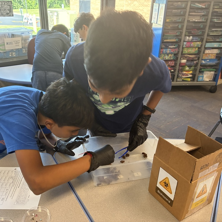 two girls using forceps to dissect play dough fecal sample 