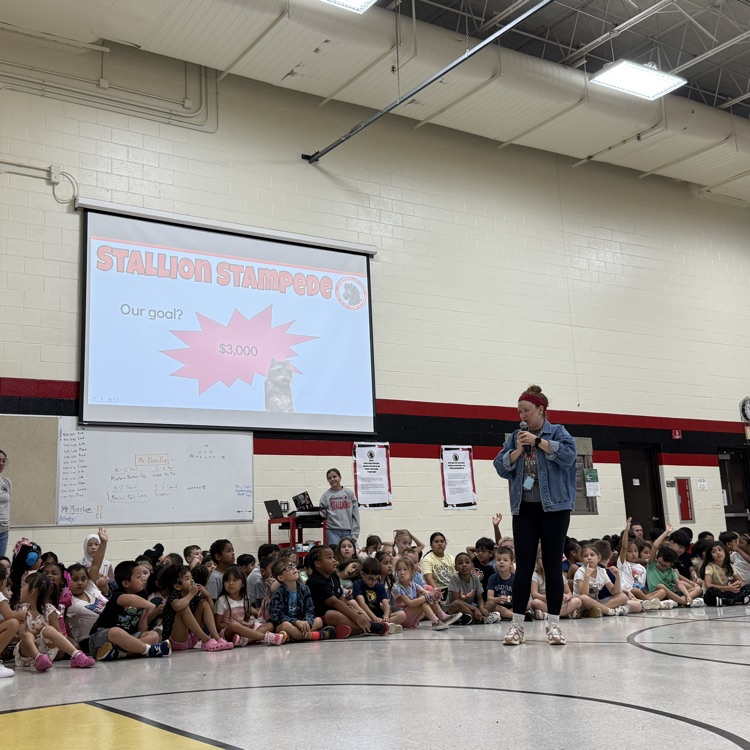PBIS stallion stampeded