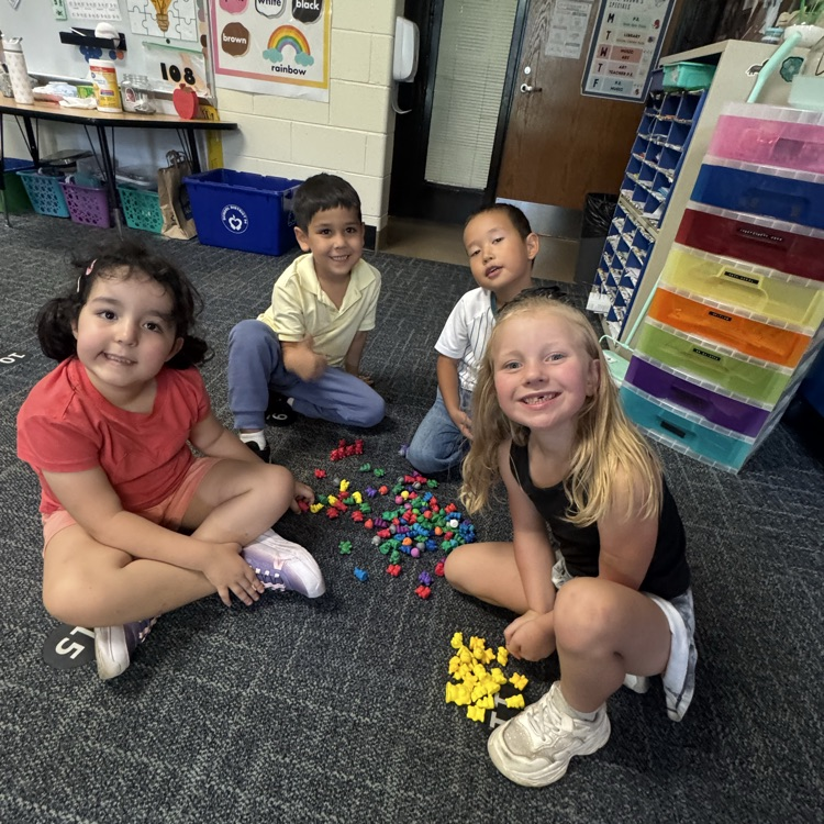 Kindergarten students sorting bears in groups.
