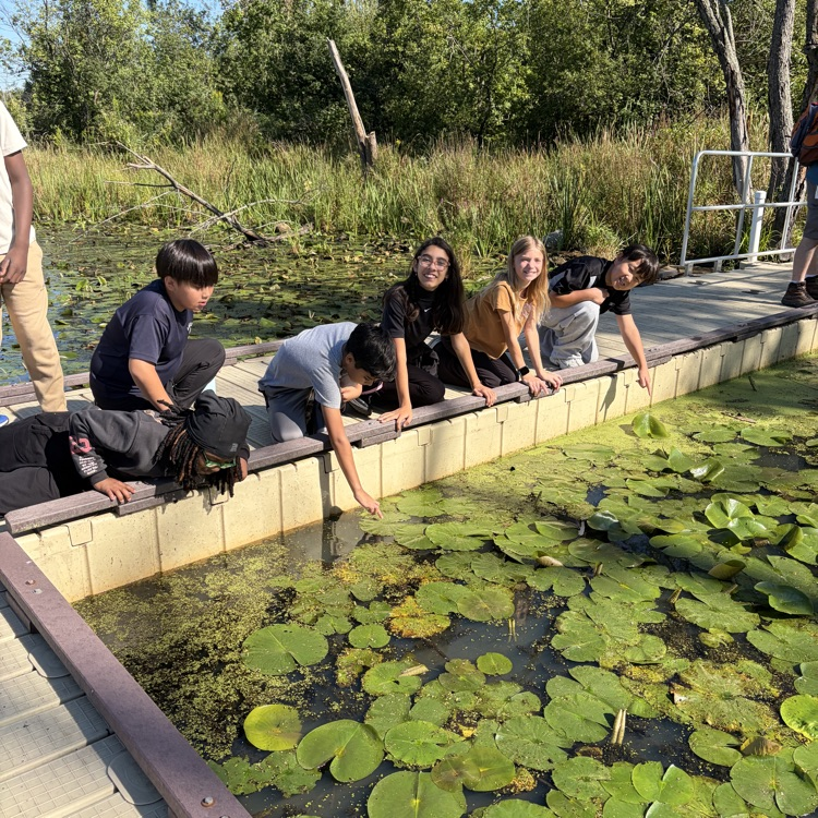 Group of 6th graders looking at the lily pads. 