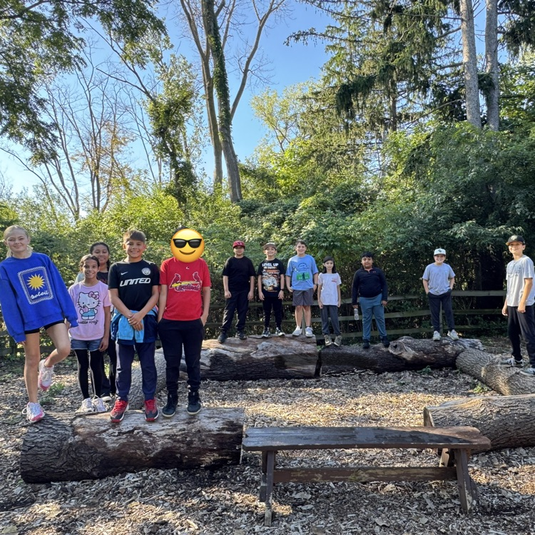 Group of students on the logs.