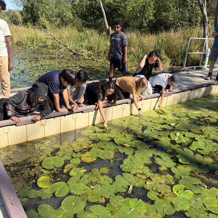 Group looking and pointing at the lily pads. 