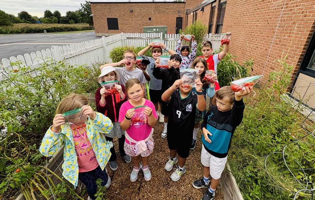 Students hold bags of tomatoes in the graden