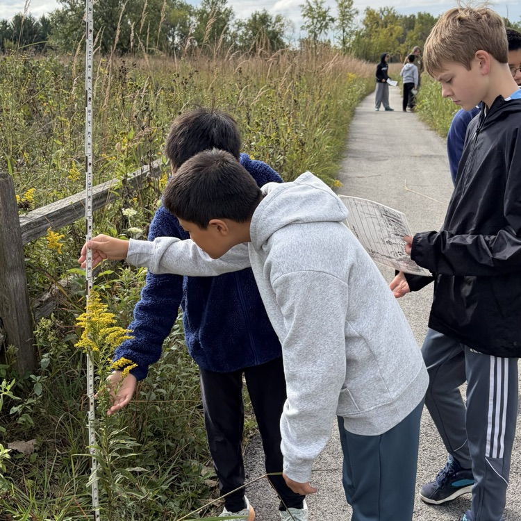 students examining a plant 