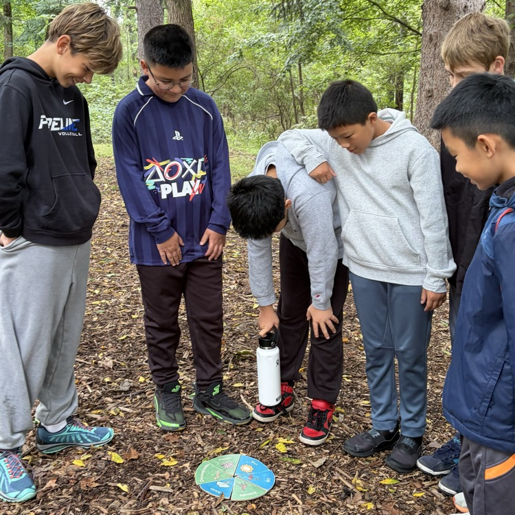 students completing an activity at Spring Valley