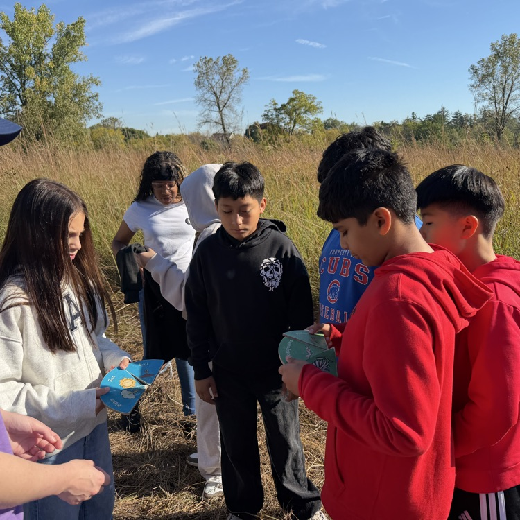 students working together outside