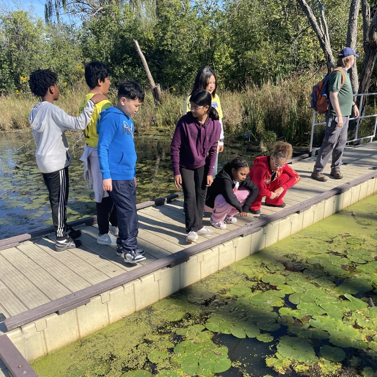 students looking at pond plants
