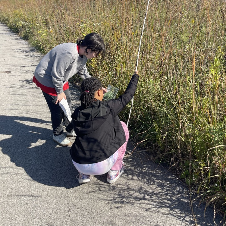students measuring plants