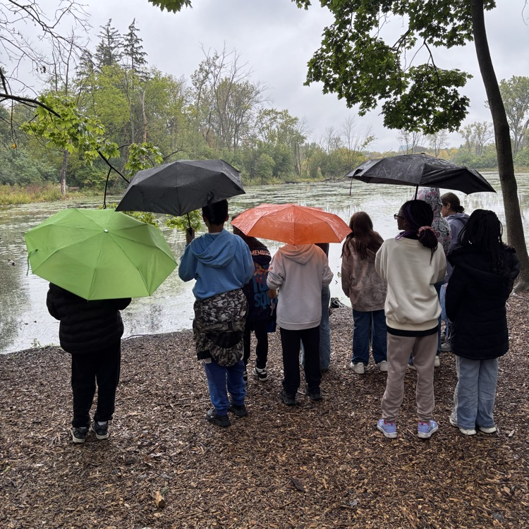 students standing in front of a pond with umbrellas