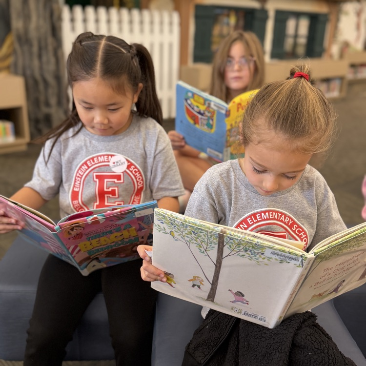 Students reading at Schaumburg Library