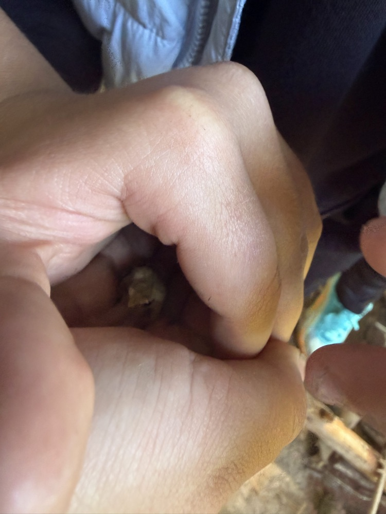student holding small animal
