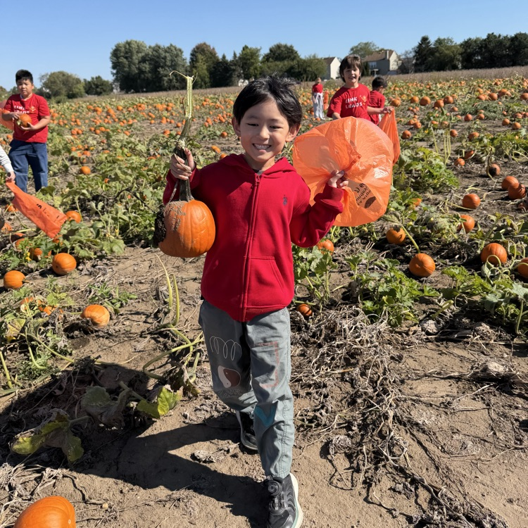 2nd grade classes at Tom’s Farm