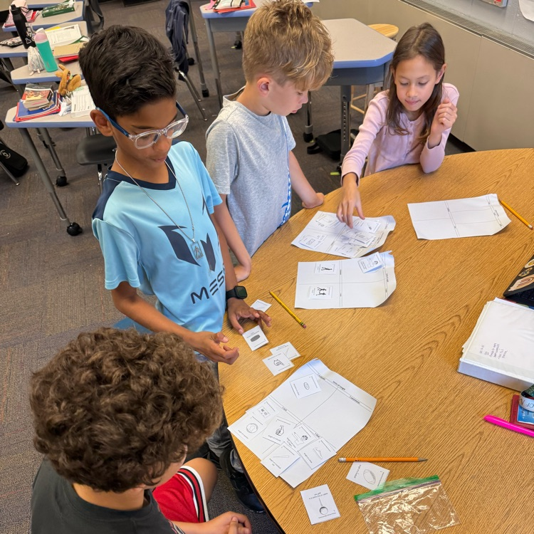 four students working to sort cards