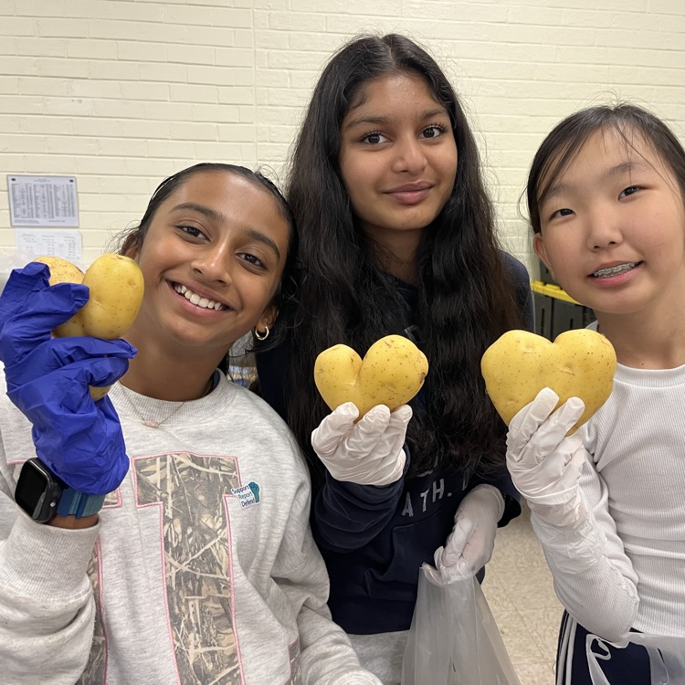 Wildcat students holding potatoes