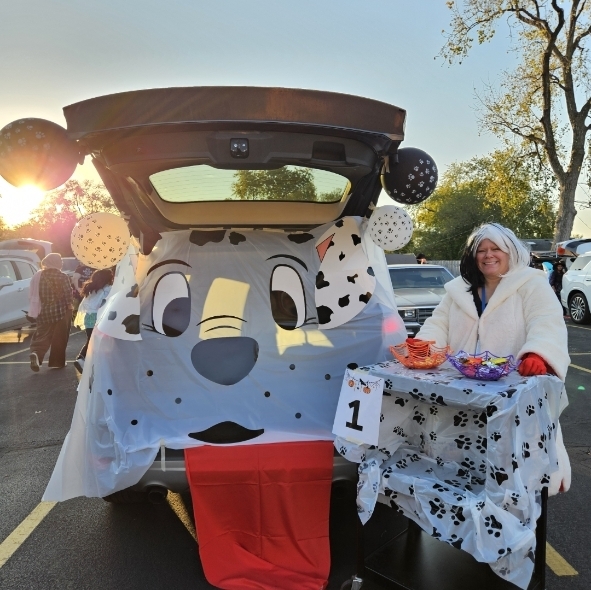 101 Dalmatians dog car decoration 