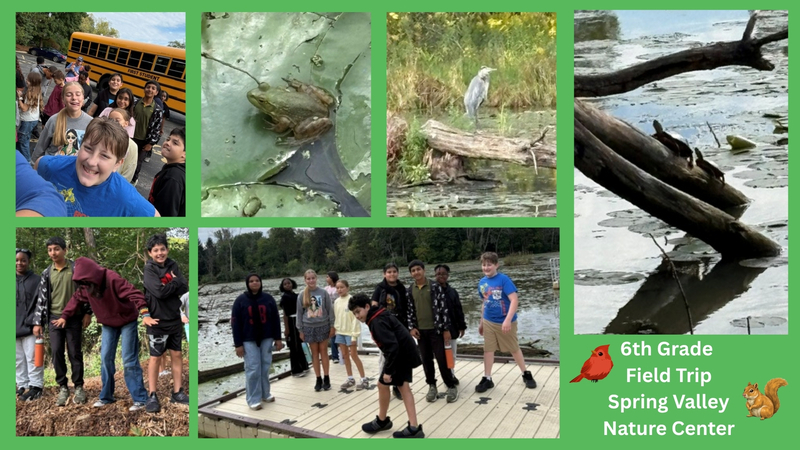 students exploring nature at a forest preserve