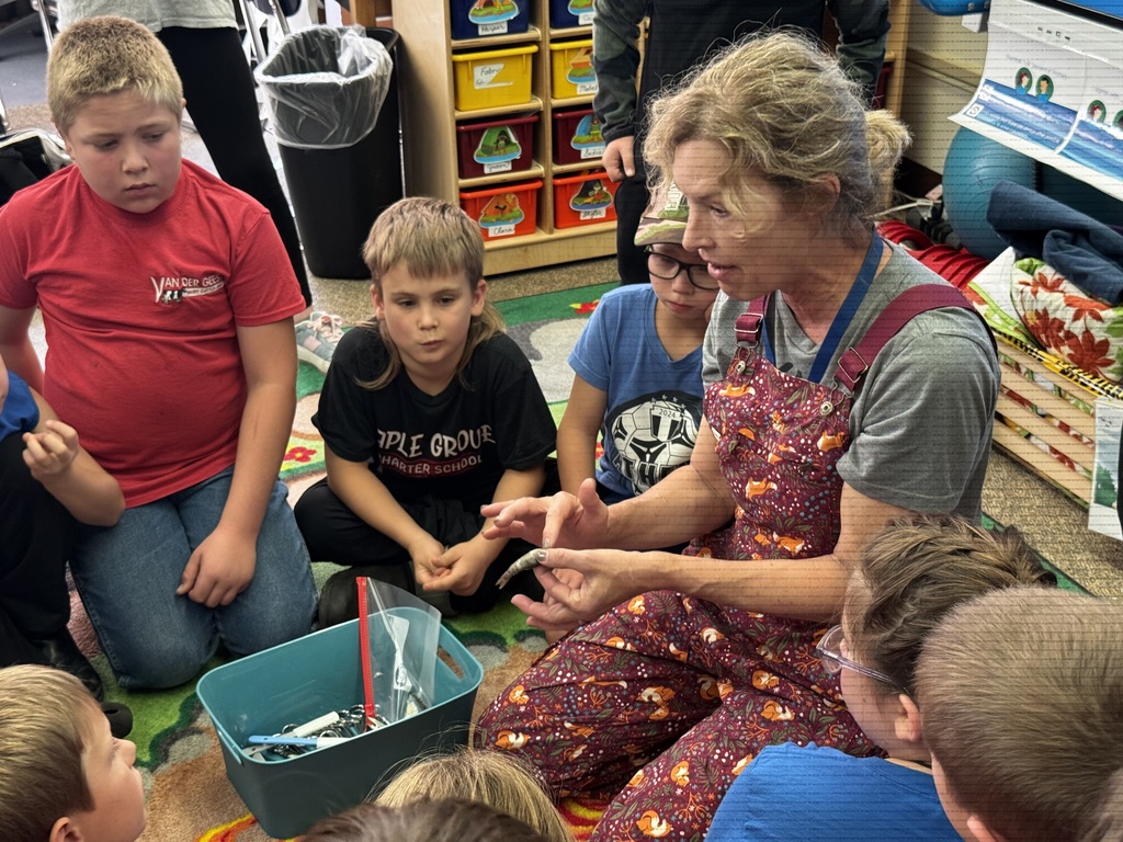 Miss Sandy from FieldEdventures guiding the dissection lesson with fourth graders.