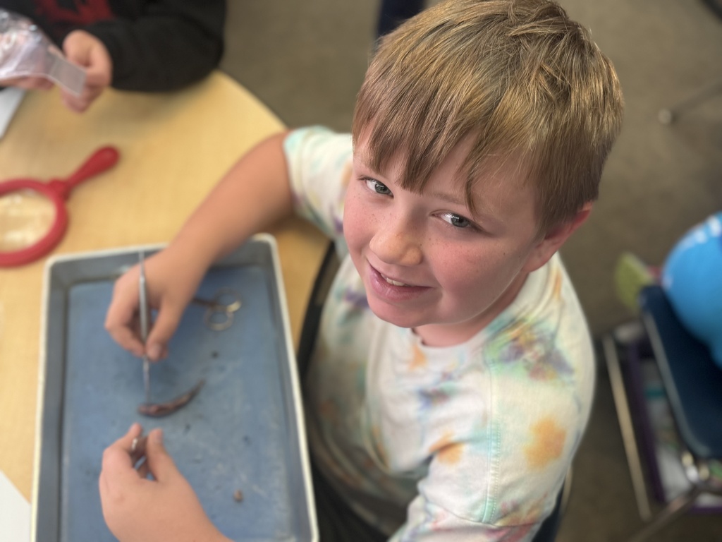Carefully using the borrowed dissection tools.