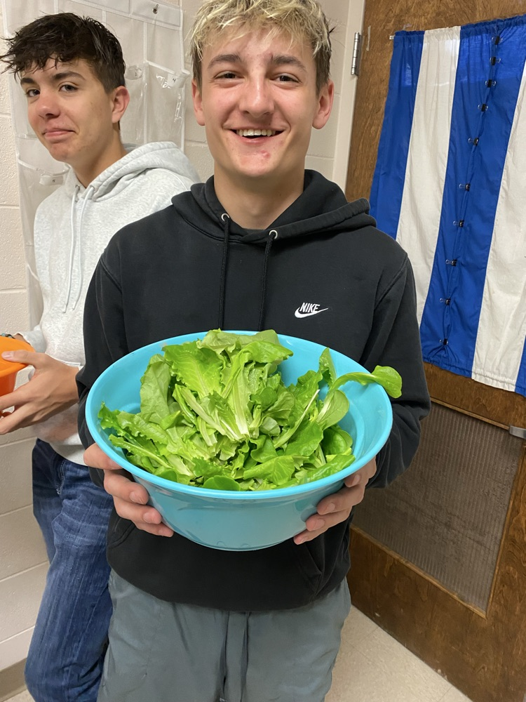 harvesting