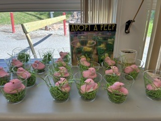Peep Adoption