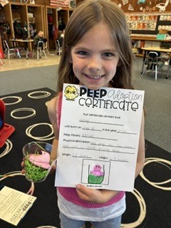 Peep Adoption