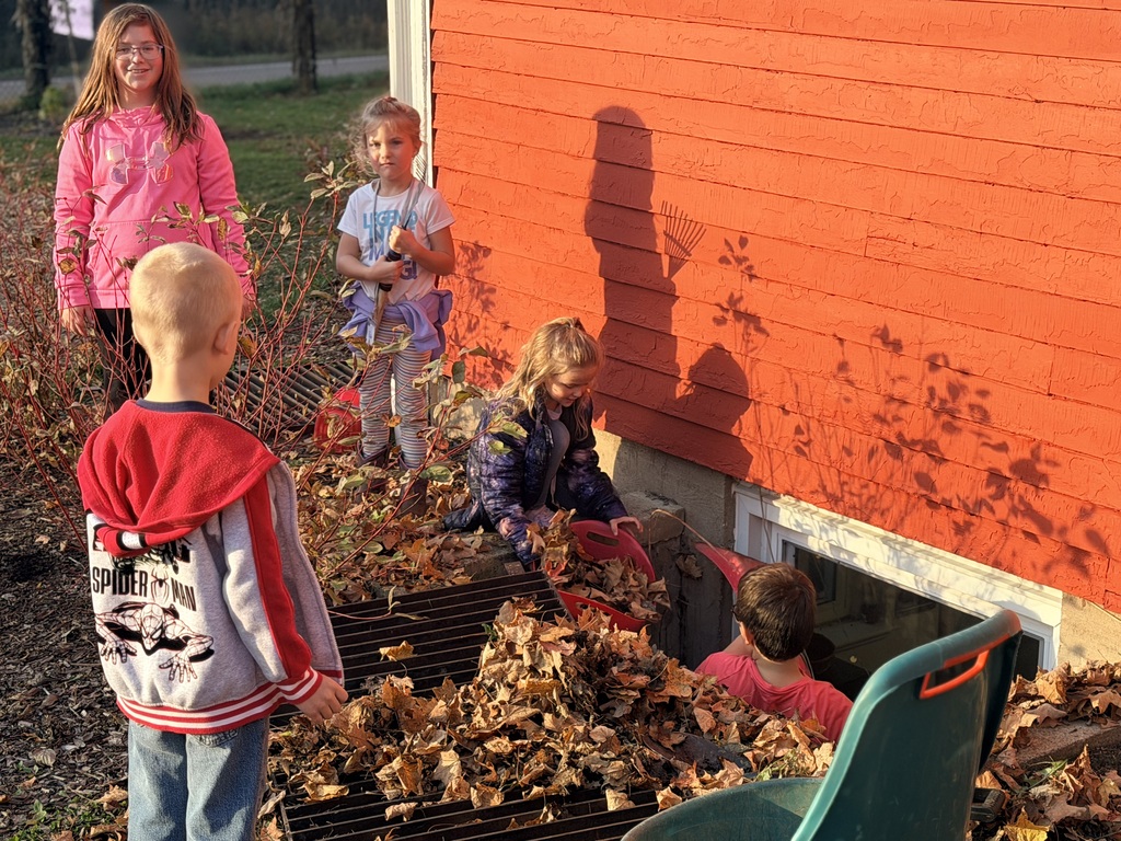 Fall cleanup