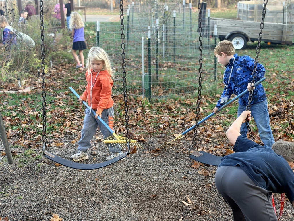 Fall cleanup