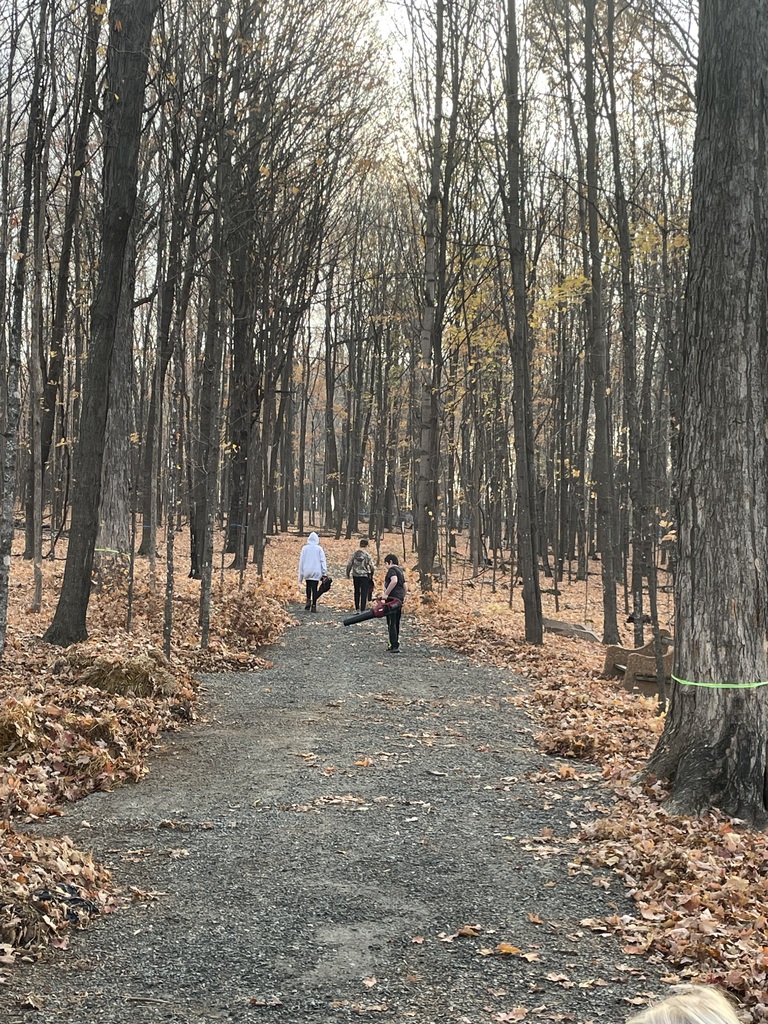 Fall cleanup