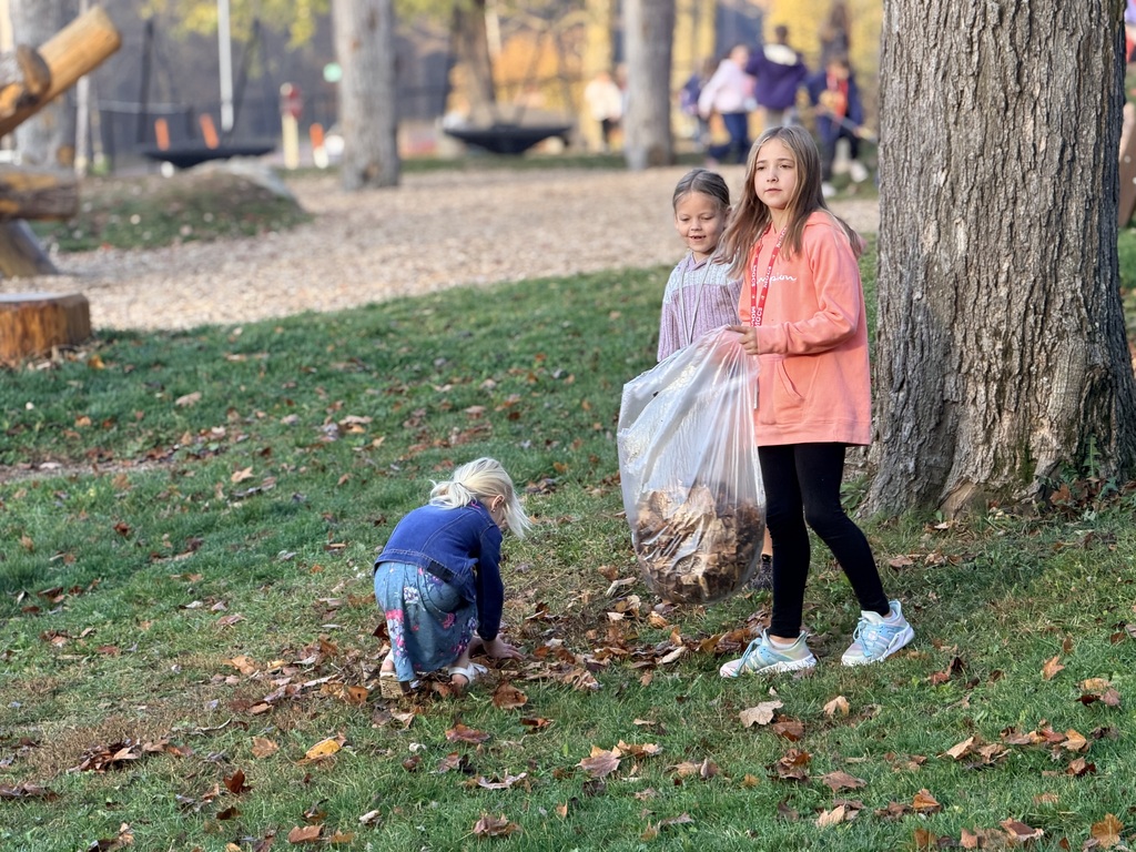Fall cleanup