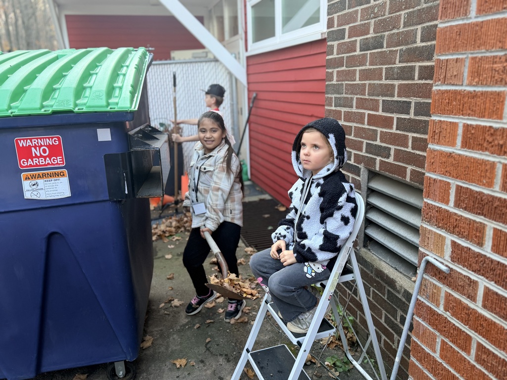 Fall cleanup